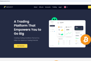 Risky Investment and Forex Platform
