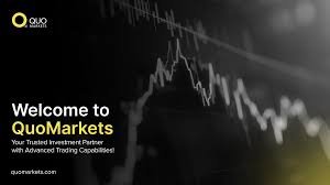 Forex and Investment Scam