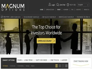 Fake Investment Platform 
