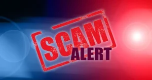 TriangleView Investments Scam