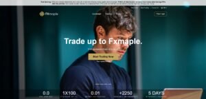 FXmaple Review