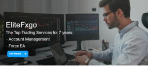 Elitefxgo Scam Review