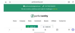 Perfectentity Review
