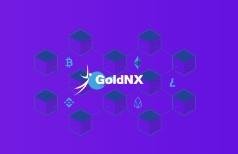 GoldNX Review