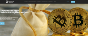 DivisionCapital Review