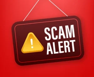 AlgoBitMarket Review