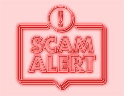 Fake Investment Platform